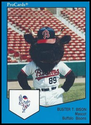 1666 Buster T. Bison Mascot